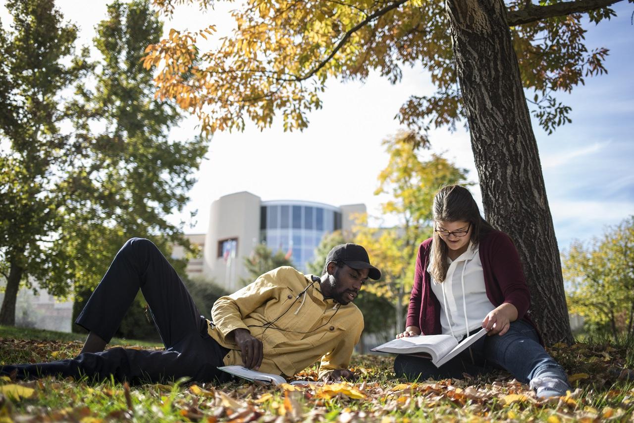 两个学生在被黄色包围的校园庭院的一棵树下学习, red, 还有从他们头顶树上落下的橙色树叶.