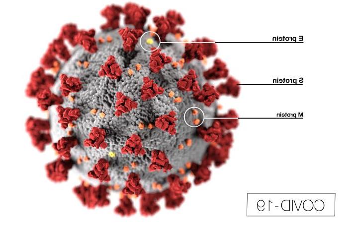 Digital rendering of the Coronavirus cell.